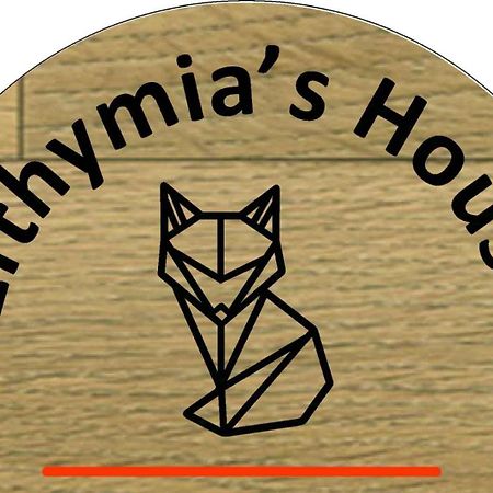 Efthymia'S House - Τζάκι & Parking Apartment Synikia Mesi Trikalon ภายนอก รูปภาพ