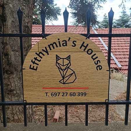 Efthymia'S House - Τζάκι & Parking Apartment Synikia Mesi Trikalon ภายนอก รูปภาพ