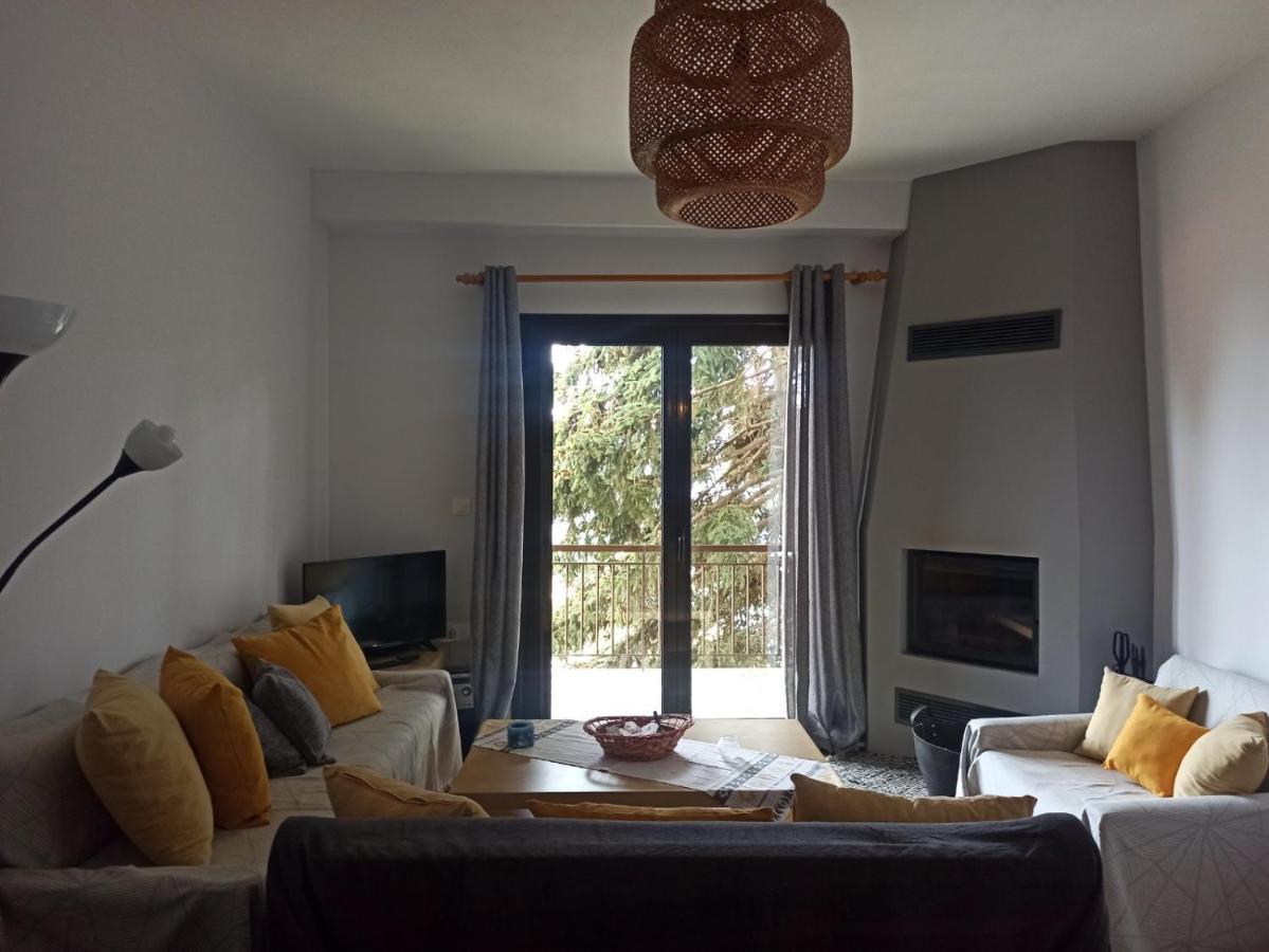 Efthymia'S House - Τζάκι & Parking Apartment Synikia Mesi Trikalon ภายนอก รูปภาพ
