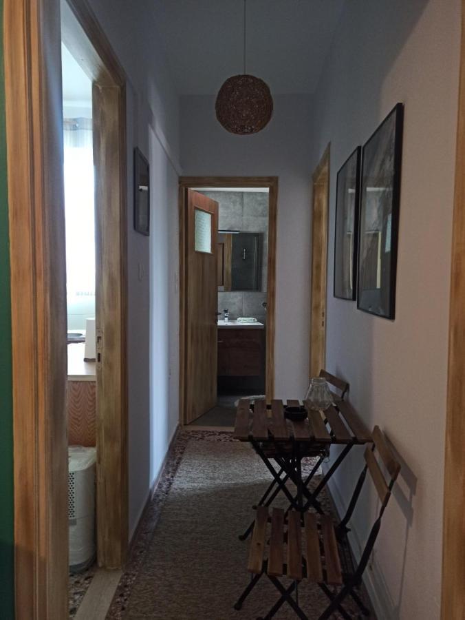 Efthymia'S House - Τζάκι & Parking Apartment Synikia Mesi Trikalon ภายนอก รูปภาพ