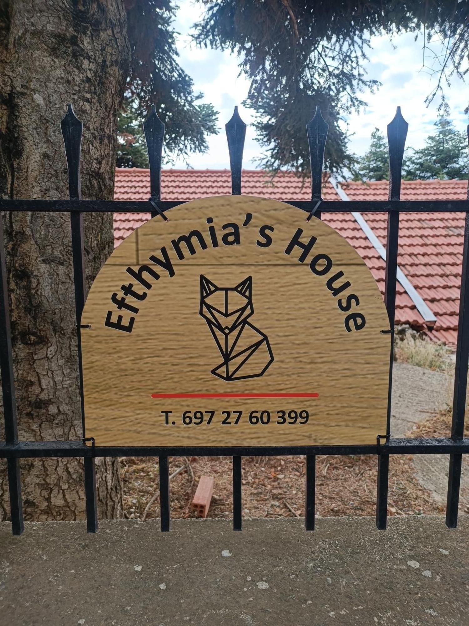 Efthymia'S House - Τζάκι & Parking Apartment Synikia Mesi Trikalon ภายนอก รูปภาพ
